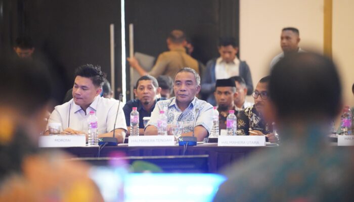 Wabup Halteng Dorong Investasi Peternakan dan Distribusi Energi di Forum TPID Malut