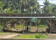 Rekomendasi Kayu KPH Halsel Disorot, Izin atau Sekadar Lampu Hijau?