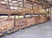 Dishut Malut Evaluasi Akses SIPUHH-SIPNBP, Legalitas Tanah Dibidik