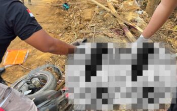 Nyawa Melayang di Jalur Tambang, PT ANI Disorot Keras
