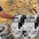 Nyawa Melayang di Jalur Tambang, PT ANI Disorot Keras
