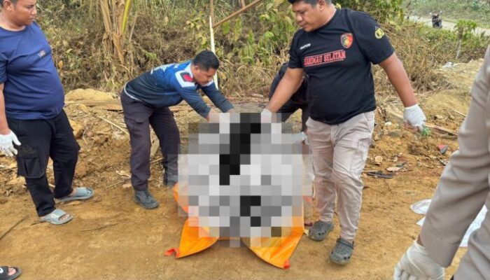 Kecelakaan Maut di Kota Maba, Pengendara Motor Meninggal Dunia