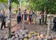 WARGA NYARIS DISERANG OTК BERSENJATA BUSUR DI KEBUN SKE, RANJAU BAMBU DITEMUKAN