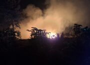 Hadapi Kemarau Panjang, Bupati Halteng Larang Pembakaran Lahan